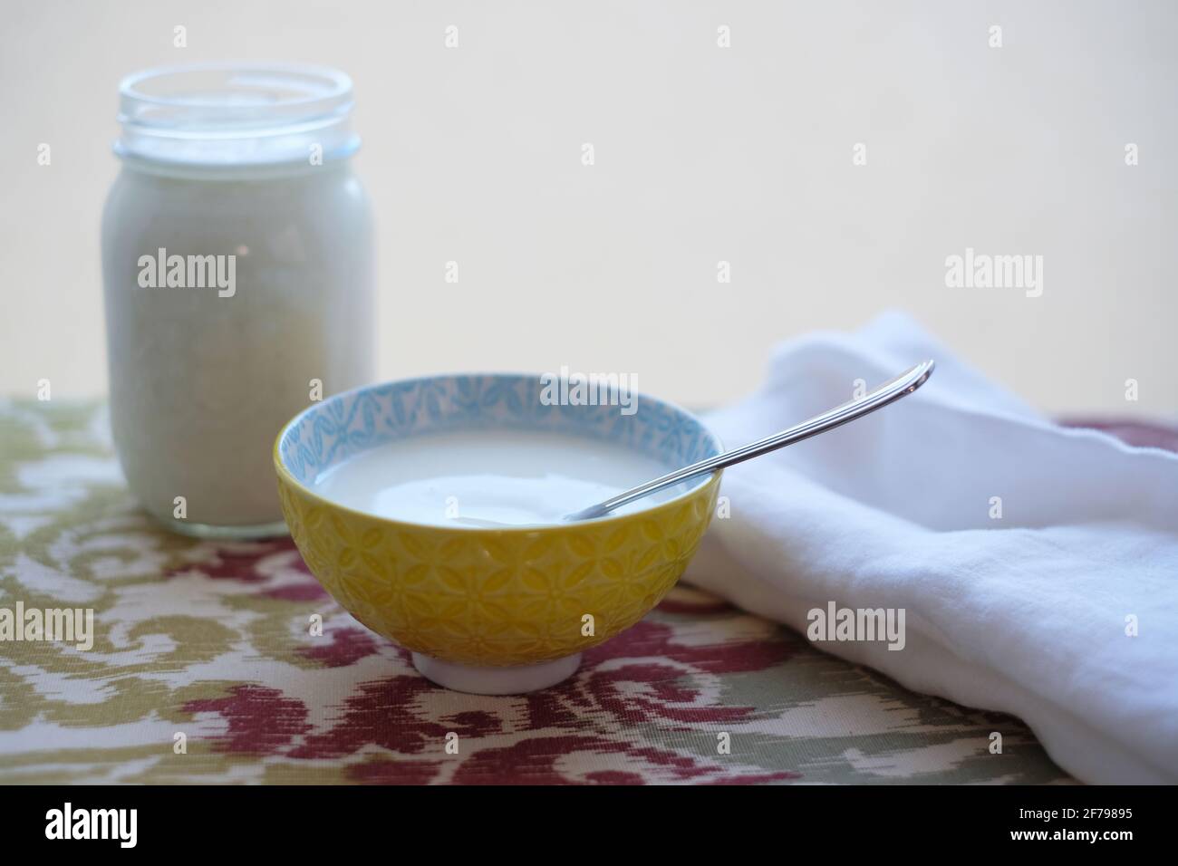 Ciotola di yogurt fatto in casa Foto Stock