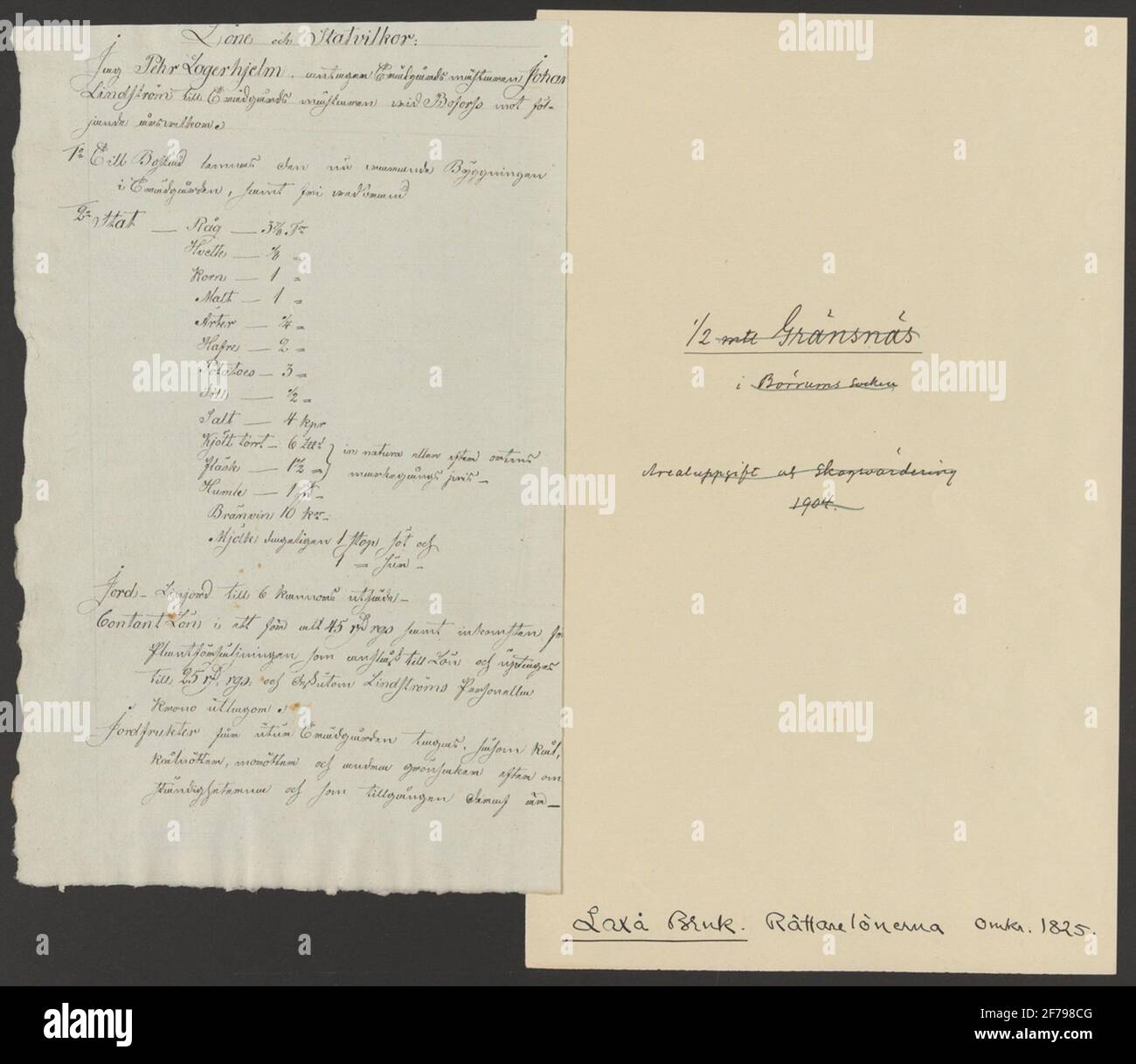 Salmon Stocks.Laxå Brukskensology.ur Collezione di storia della montagna di Carl Sahlin. Foto Stock