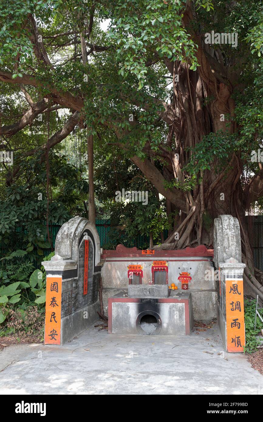 KAM Tsin Wai Santuario del Dio della Terra, Yin Kong Tsuen, nuovi territori, Hong Kong 11 marzo 2021 Foto Stock