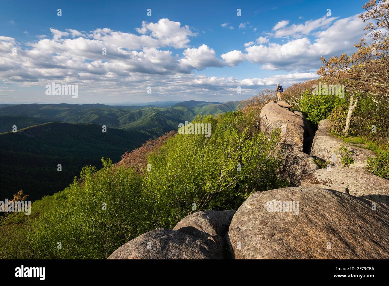 Un escursionista che ammira il panorama dalla cima del sacerdote lungo il sentiero Appalachian nei monti Virginian Blue Ridge. Foto Stock