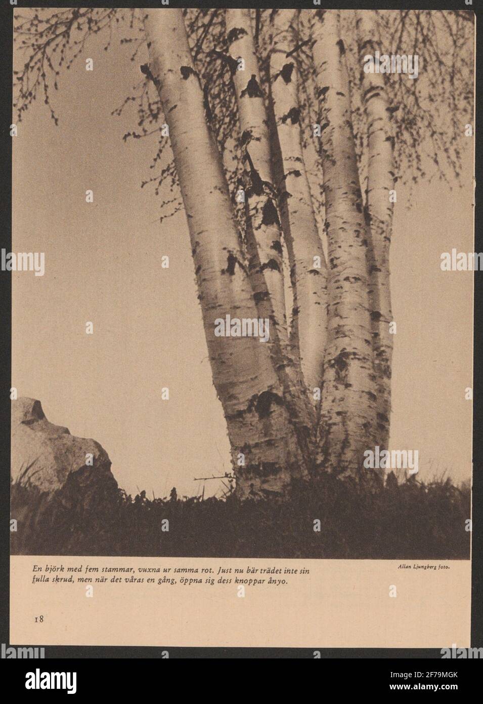 La gente di montagna svedese viaggia all'estero. Foto Stock