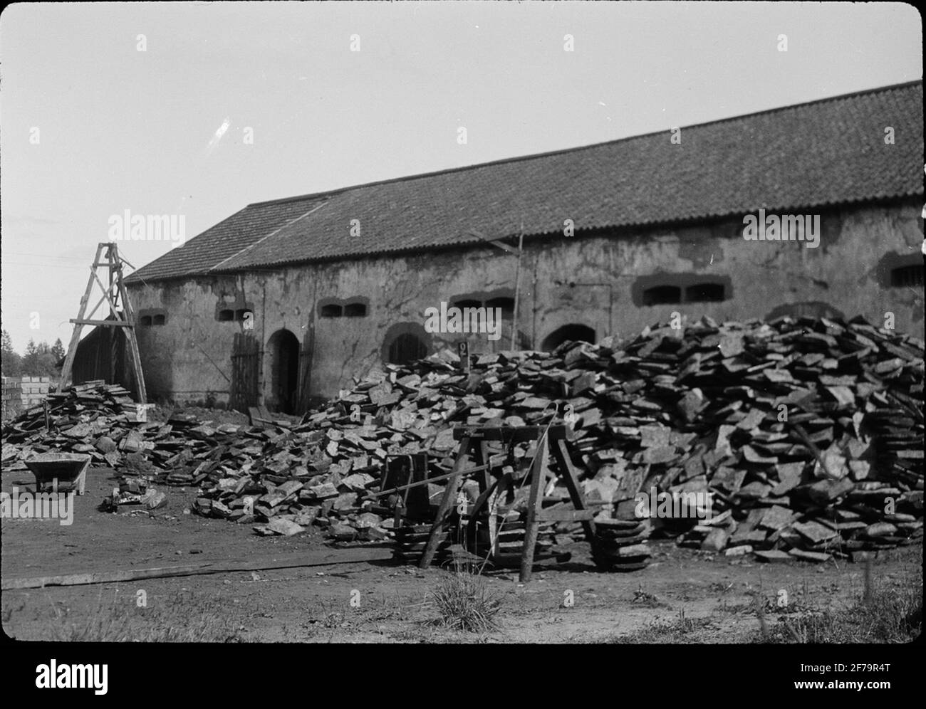 Disposizione di ferro di maiale. Foto Stock