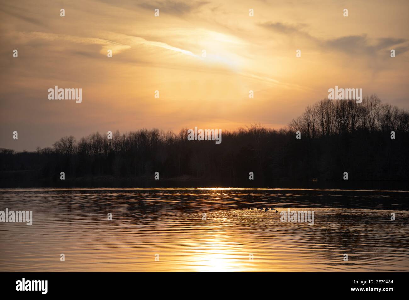 Incredibile tramonto arancione su un lago con sole, nuvole, alberi, uccelli e riflessi in acqua Foto Stock