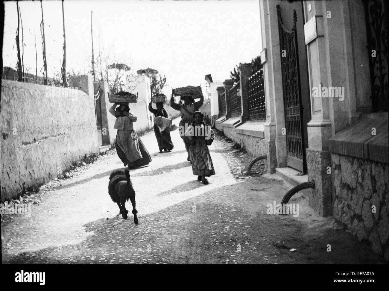 Le immagini della regina Vittoria. Le donne fuori e lavorano in tempo di raccolto. Probabilmente capri. Foto Stock