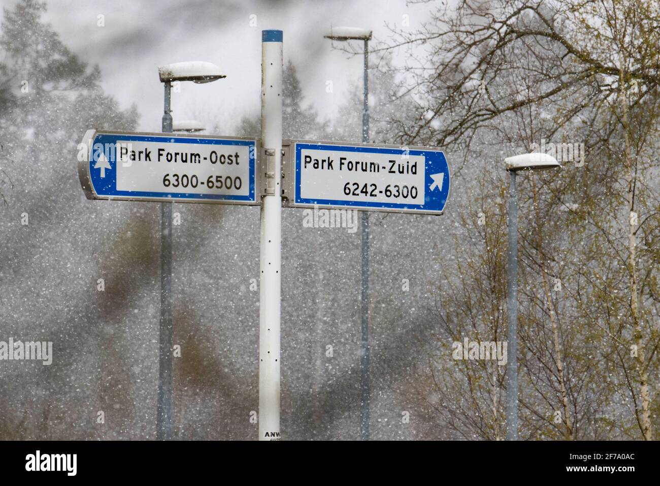 Veldhoven, Paesi Bassi. 05 aprile 2021. Segnaletica sulla strada durante la neve. Particolare nevicata seguita da forti venti, grandine e basse temperature gelide in Europa. La neve del lunedì di Pasqua è un raro fenomeno del freddo, mentre le temperature sono anche sotto zero gradi celsius, 15 gradi in meno rispetto al solito per i primi giorni della primavera e aprile. (Foto di Nik Oiko/SOPA Images/Sipa USA) Credit: Sipa USA/Alamy Live News Foto Stock