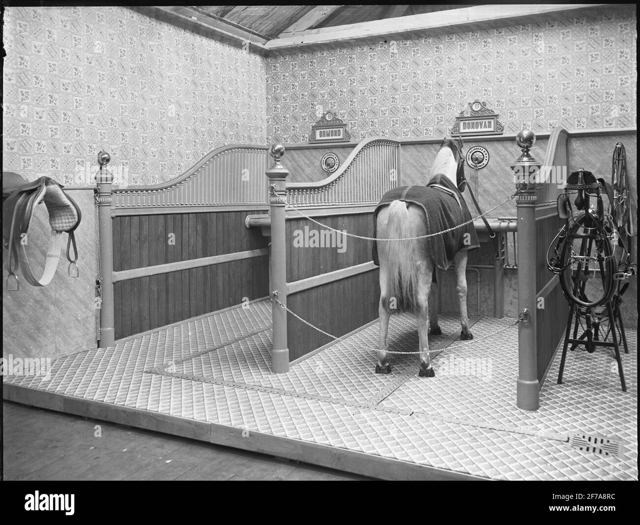 Spil con cavallo e seldon. Foto Stock