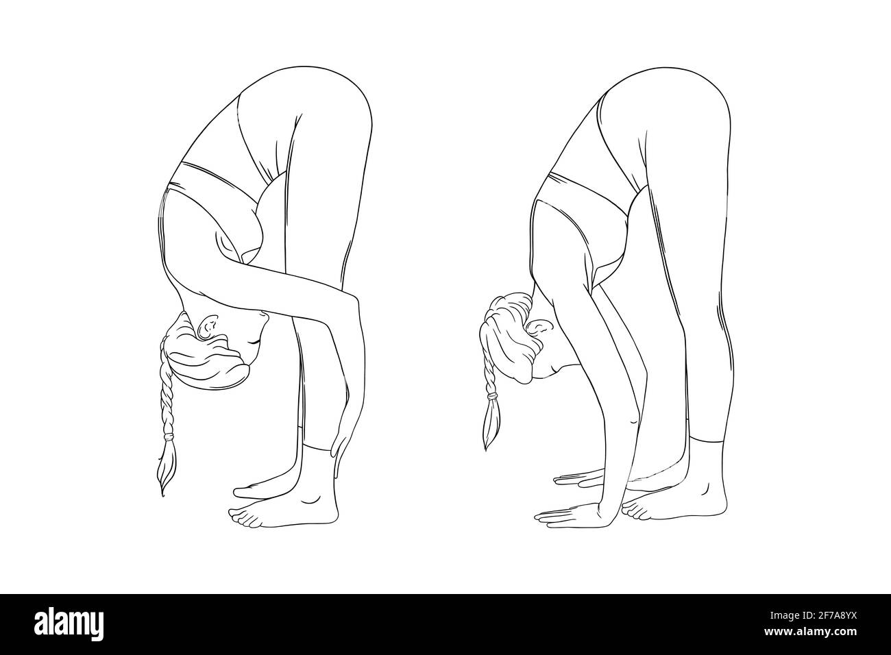 Stretching yogi donna. Varianti di posa ripiegata in avanti di Hatha yoga. Illustrazione vettoriale incisa su sfondo bianco Illustrazione Vettoriale