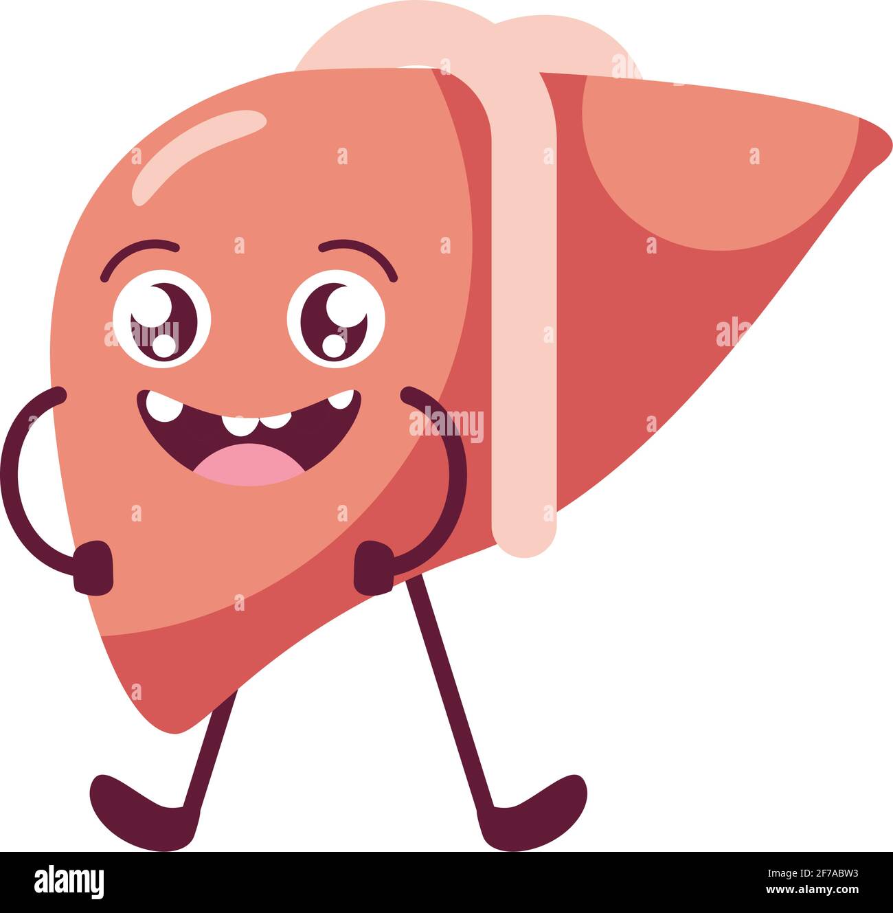 carino organo del fegato Illustrazione Vettoriale