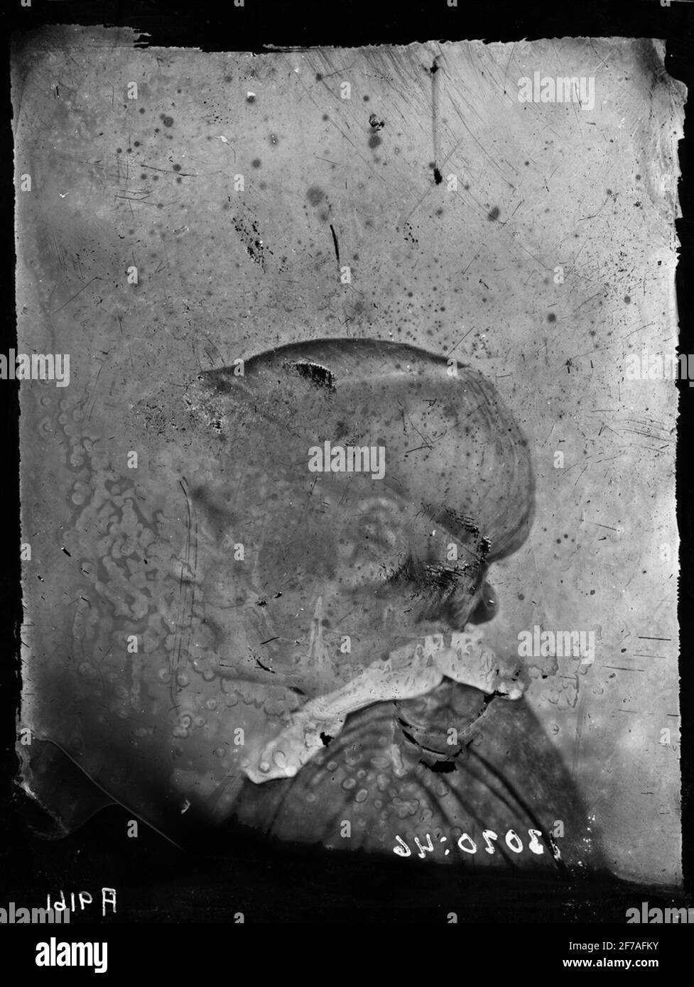 Profilo dell'uomo Foto Stock