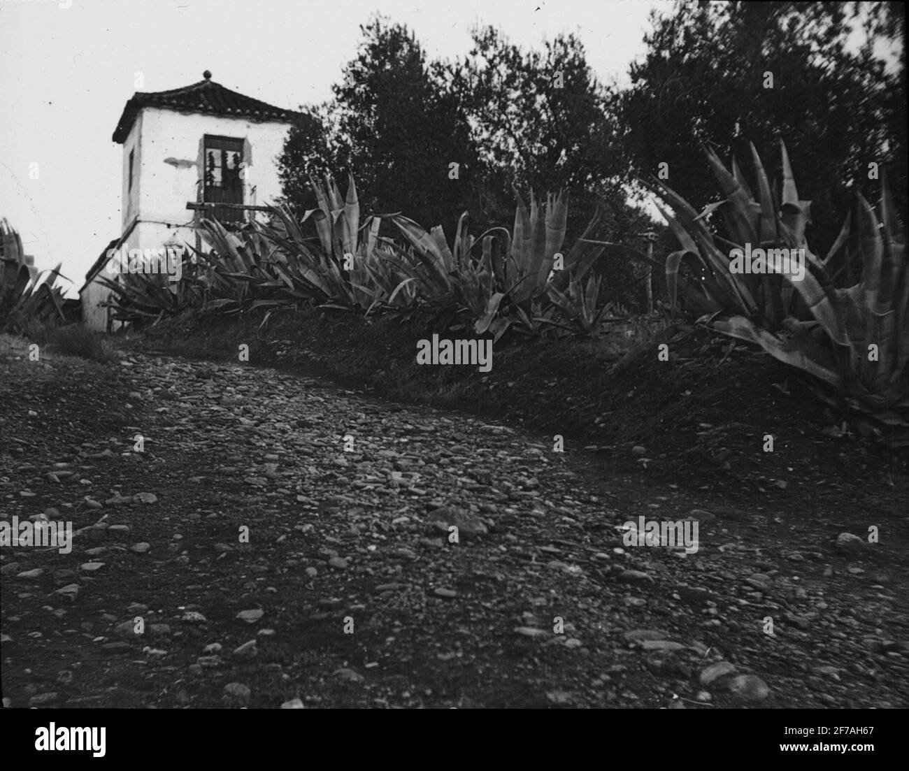 Immagine skioptic con motivi dalla strada fino al palazzo Alhambra, Granada.l'immagine è stata conservata in cartone etichettato: Höstesan 1910. Granada 9. N: 24. Testo sull'immagine: 'Verso l'Alhambra'. Foto Stock