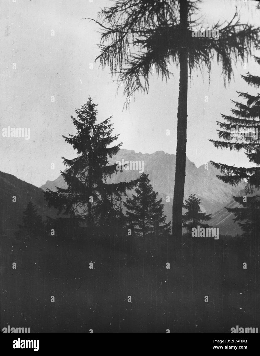 Icona SkiopT con motivi del Monte Zugspize, al confine tra Germania e Austria. L'immagine è stata memorizzata in cartone con etichetta: Travel 1911.Schwäbisch Padiglione 5. Nödlingen 5. XII .. Testo sull'immagine: 'Die Zugspize Foto Stock Icona SkiopT con motivi del Monte Zugspize, al confine tra Germania e Austria. L'immagine è stata memorizzata in cartone con etichetta: Travel 1911.Schwäbisch Padiglione 5. Nödlingen 5. XII .. Testo sull'immagine: 'Die Zugspize Foto Stock