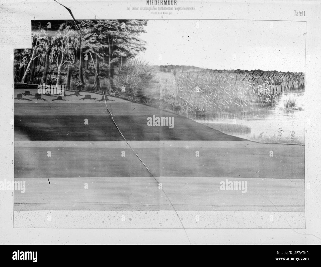 Immagine Skiopticone. Disegno sopra gli strati della torba nel terreno. Foto Stock