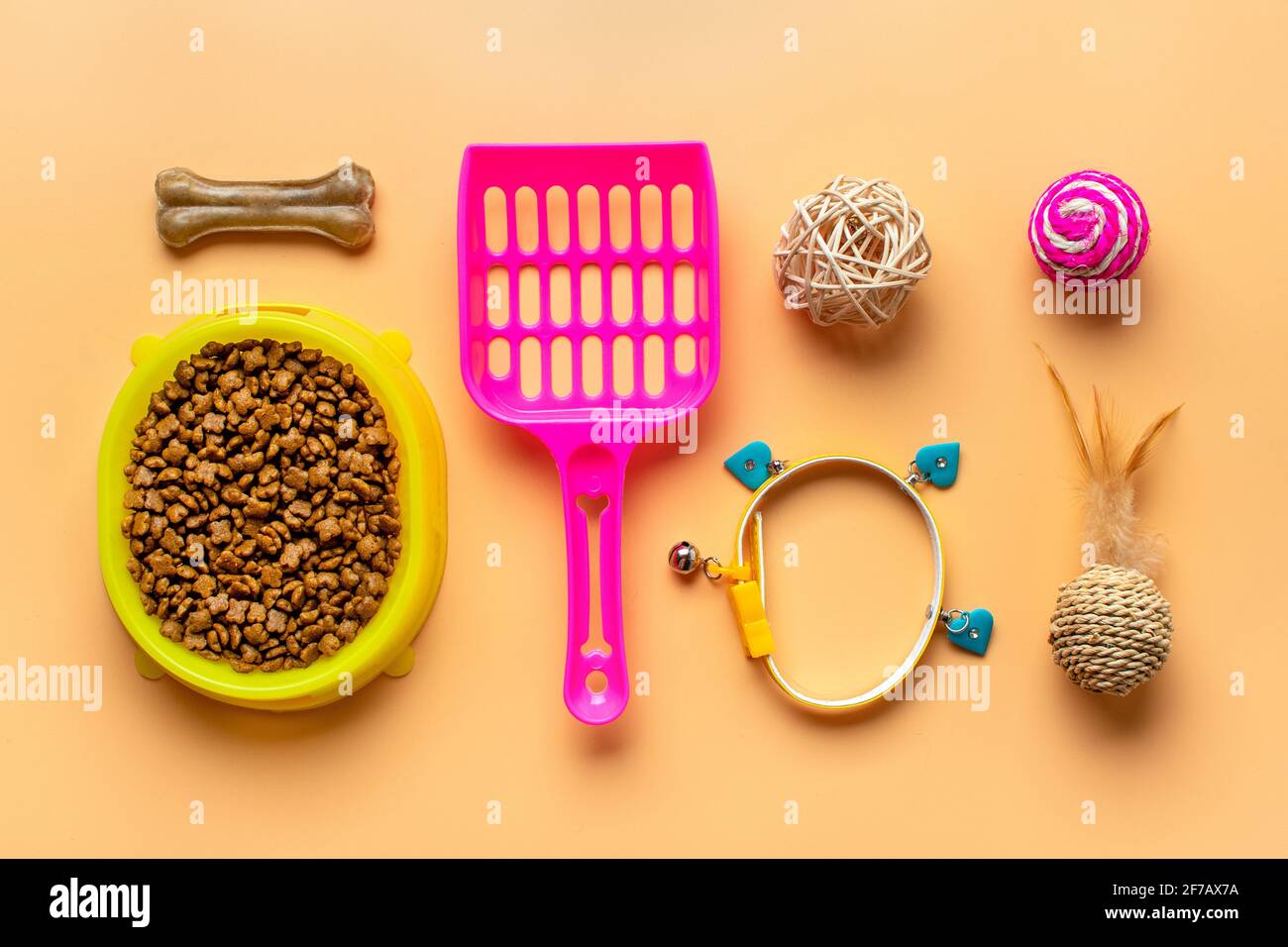 Cibo asciutto in ciotola, spatola, forbici per unghie, erba, colletto, Palle, ossa su sfondo beige Vista dall'alto Giocattoli, accessori e cibo per la tua belove Foto Stock