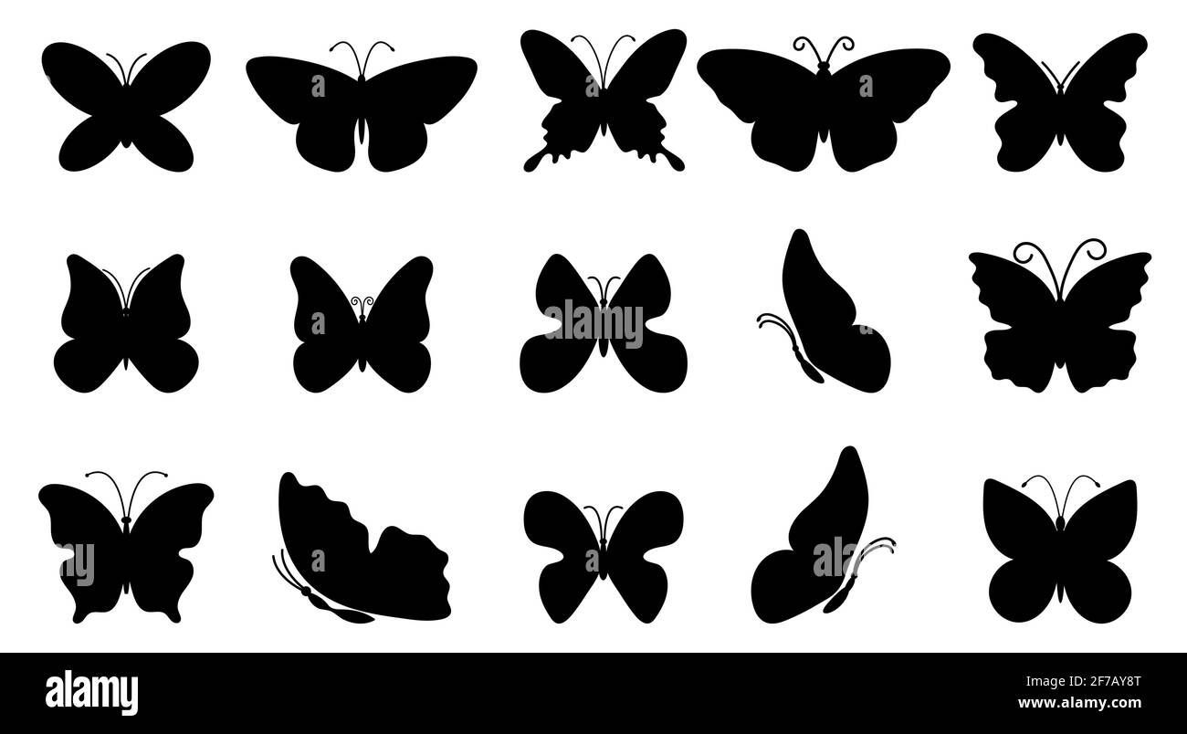 Grande set di silhouette farfalle. Illustrazione vettoriale Illustrazione Vettoriale
