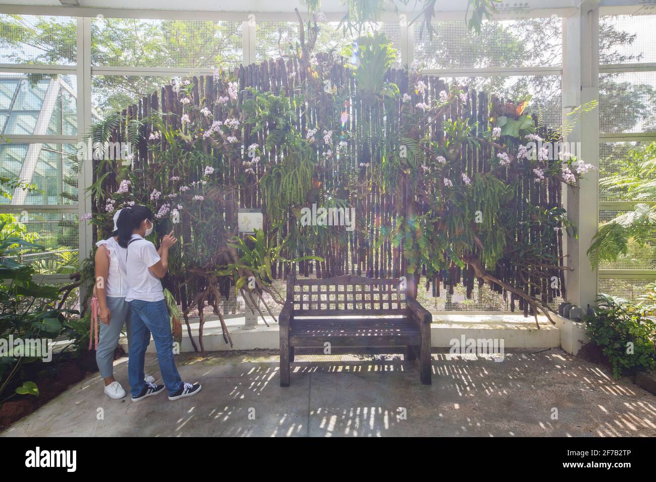 Due Signore stanno appendere fuori alla decorazione interna di Tan Hoon Siang Mist House al National Orchid Garden, Singapore. Foto Stock