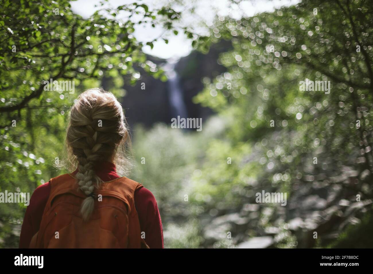 Vista posteriore della donna Foto Stock