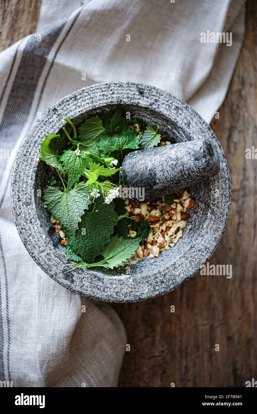 Aglio senape e mandorle pesto Foto Stock