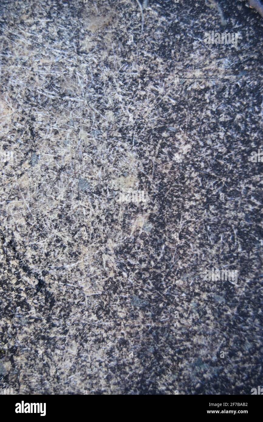 Texture sgranata scura e chiara Foto Stock