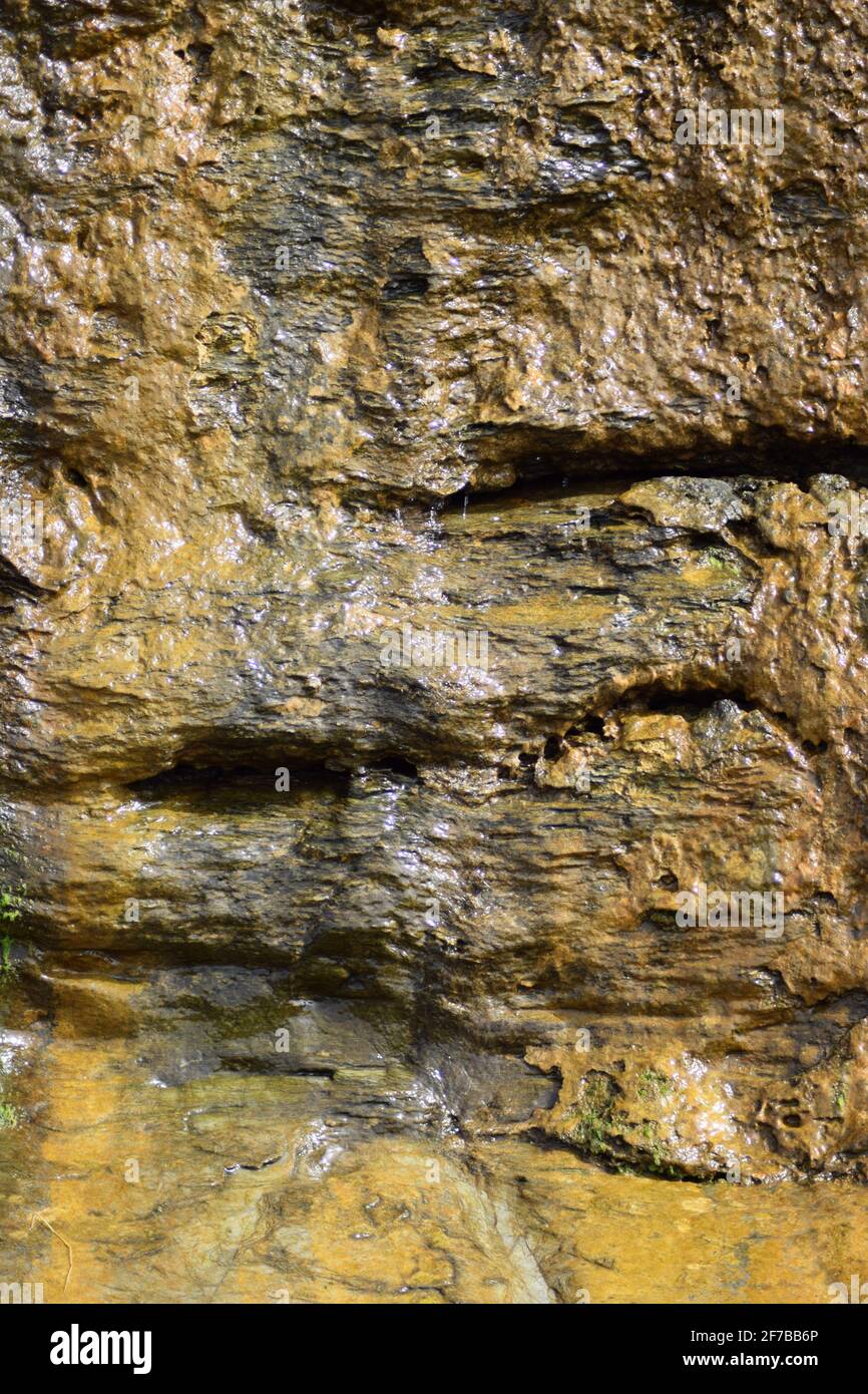 Slick Rock faccia Foto Stock