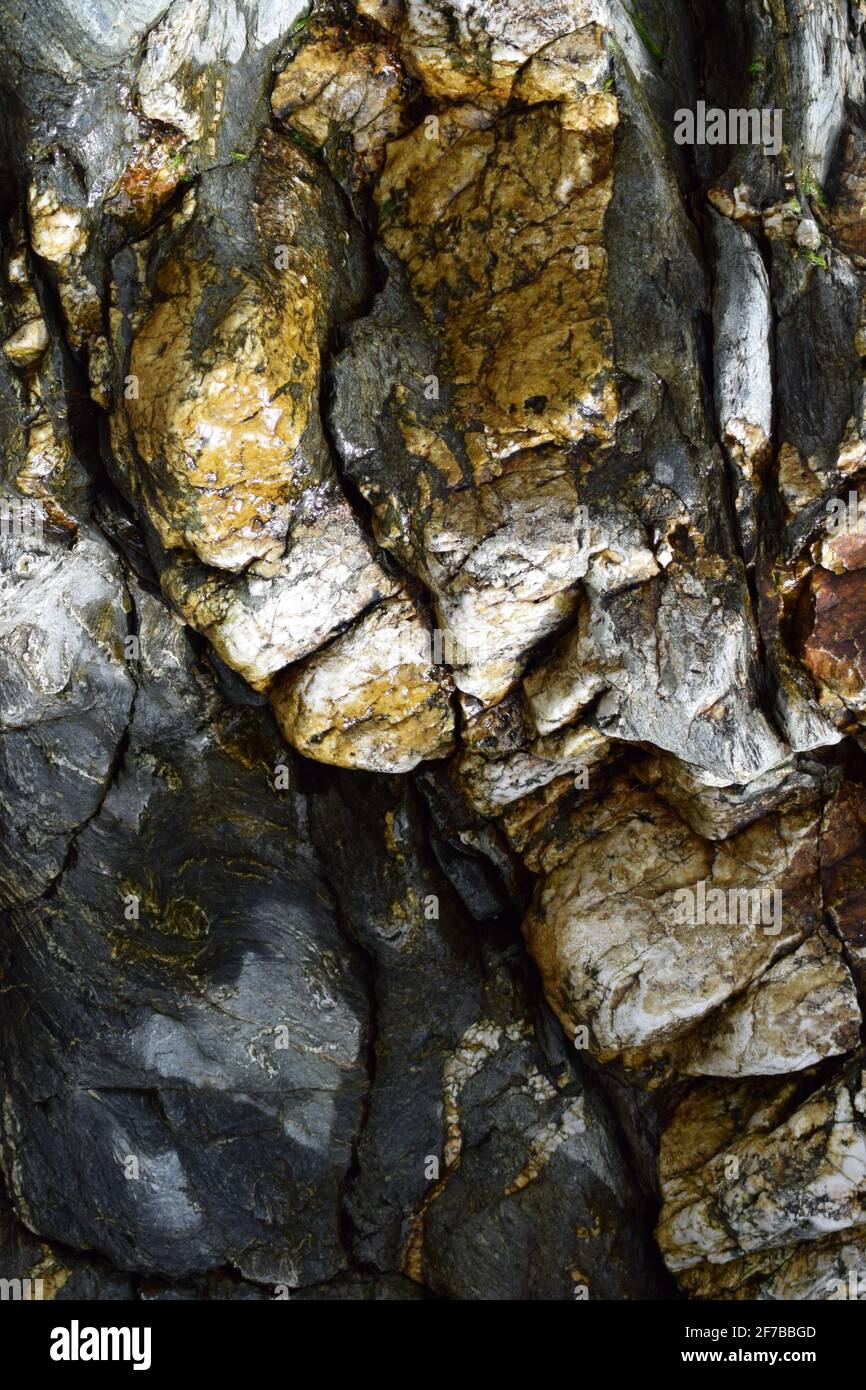 Spessa vena di quarzo nella roccia Foto Stock