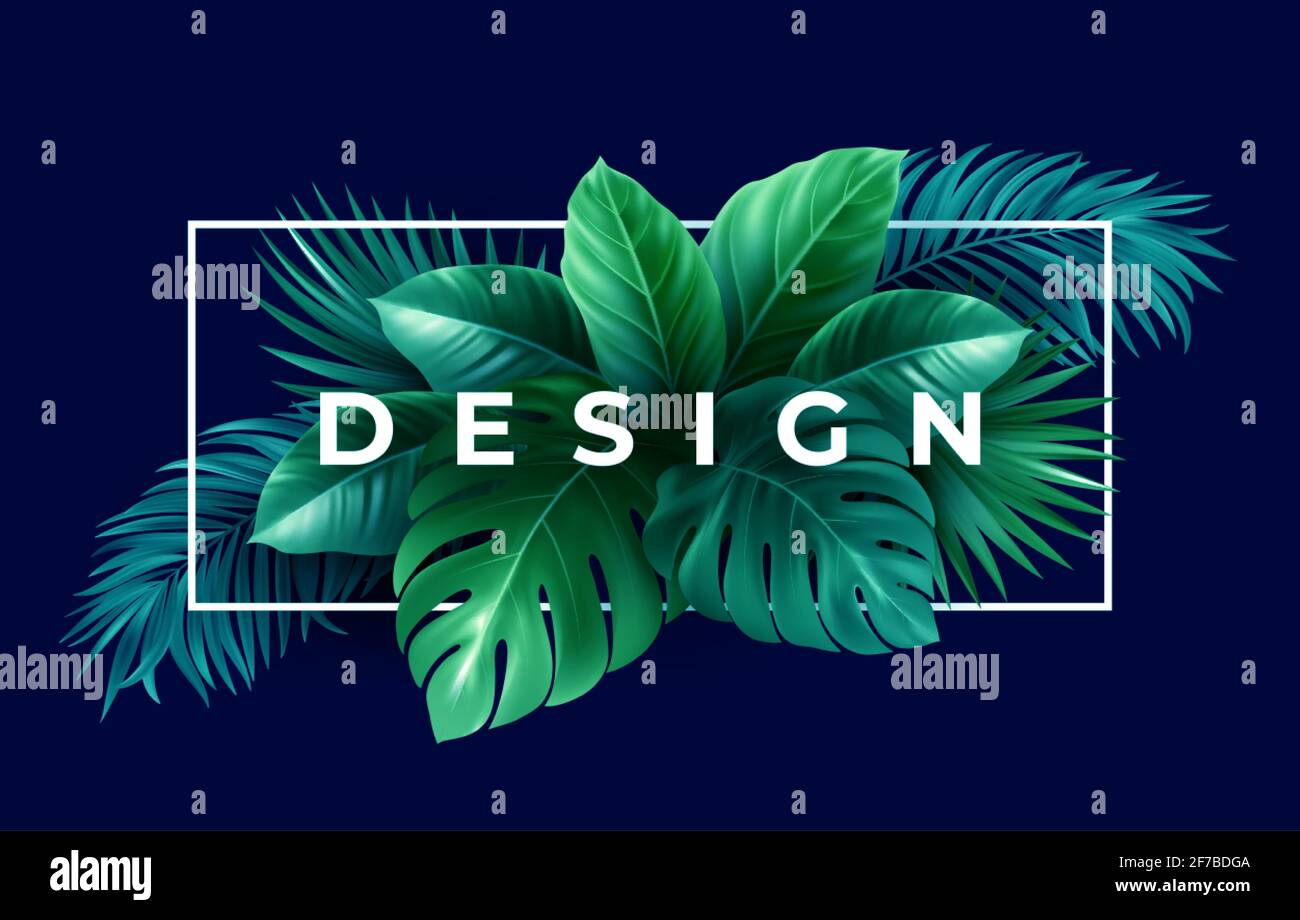 Design tropicale estivo per striscioni o volantini con foglie verdi di palma tropicali e scritte. Illustrazione vettoriale Illustrazione Vettoriale