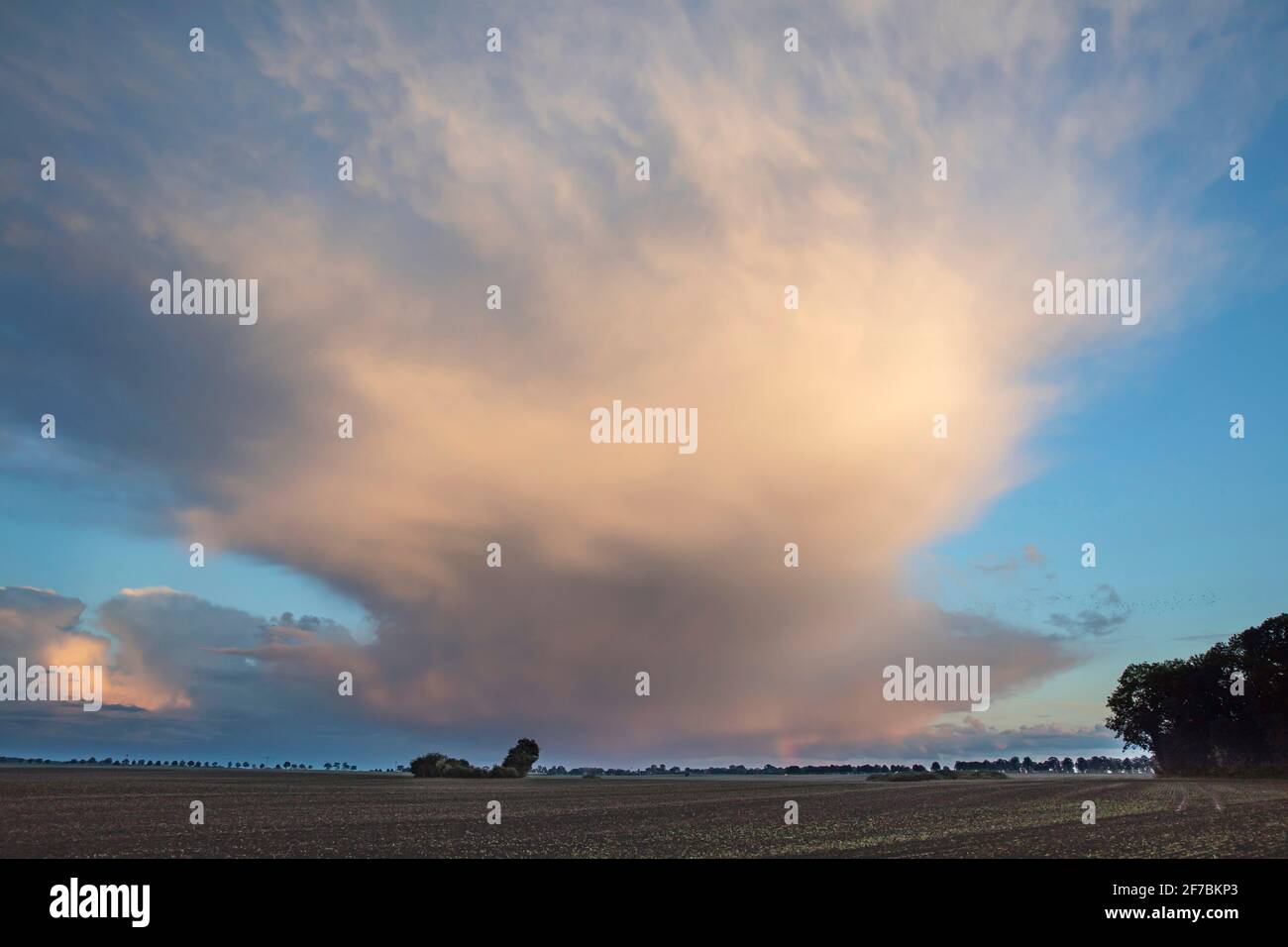 Spettacolari nuvole vicino a Bisdorf in luce serale, Germania, Meclemburgo-Pomerania occidentale, Bisdorf Foto Stock