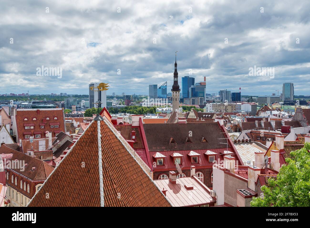 Vista dall'alto su Tallinn, capitale dell'Estonia Foto Stock