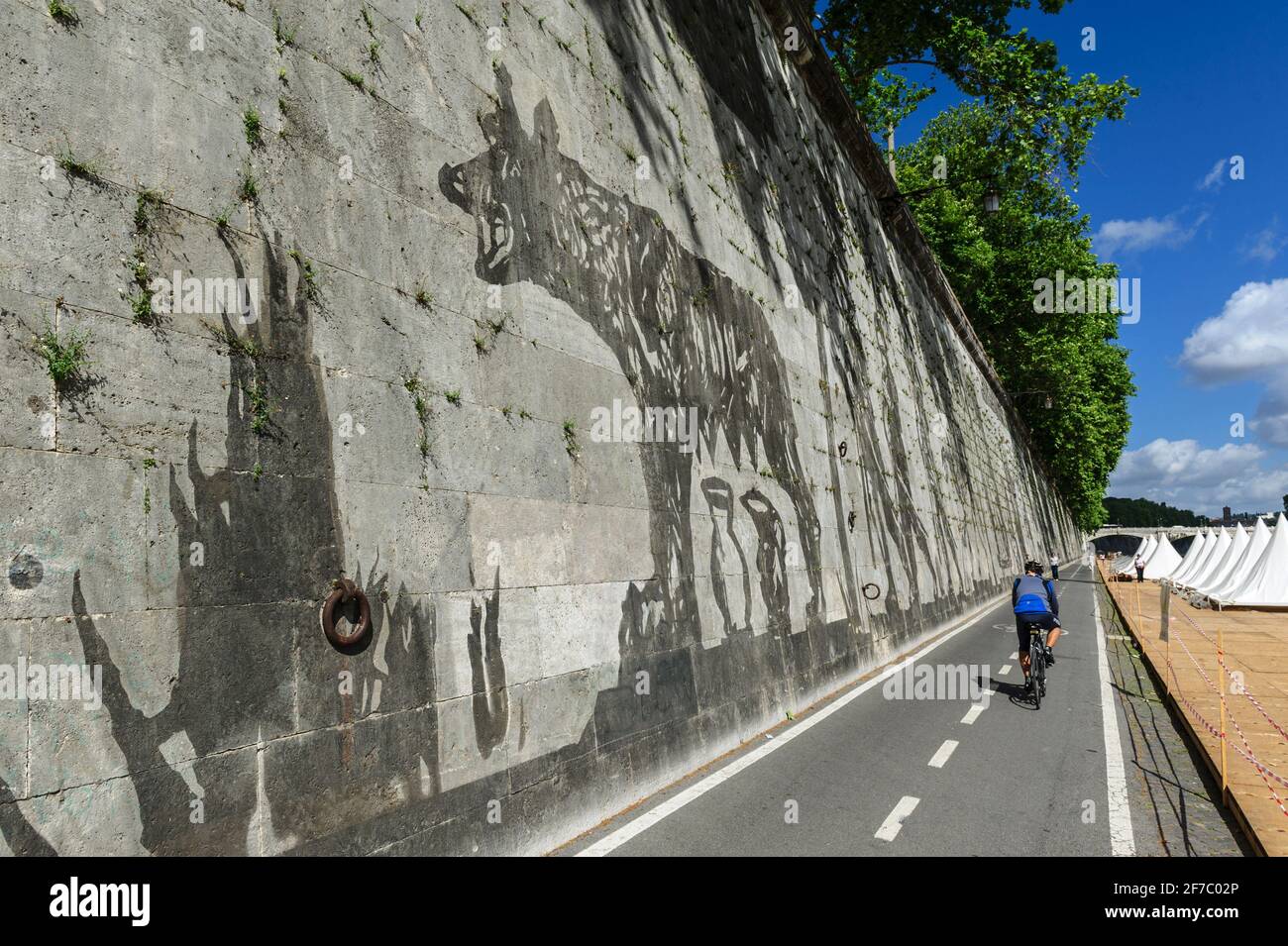 William Kentridge, artista, Lungotevere, River, Tevere, Roma, Lazio, Italia, Europa Foto Stock