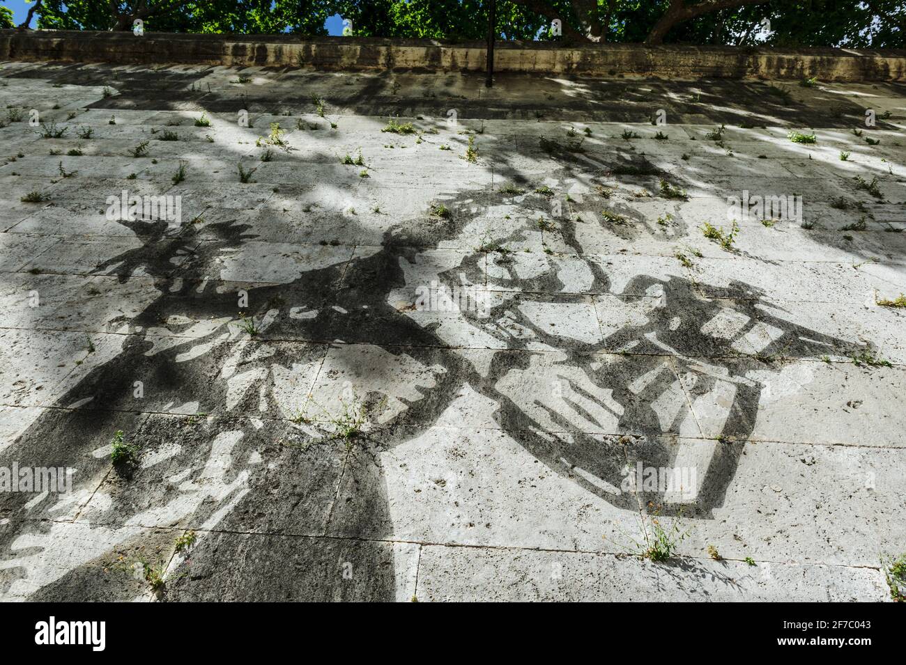 William Kentridge, artista, Lungotevere, River, Tevere, Roma, Lazio, Italia, Europa Foto Stock
