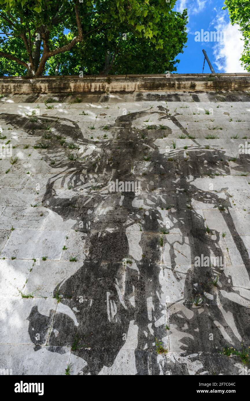 William Kentridge, artista, Lungotevere, River, Tevere, Roma, Lazio, Italia, Europa Foto Stock