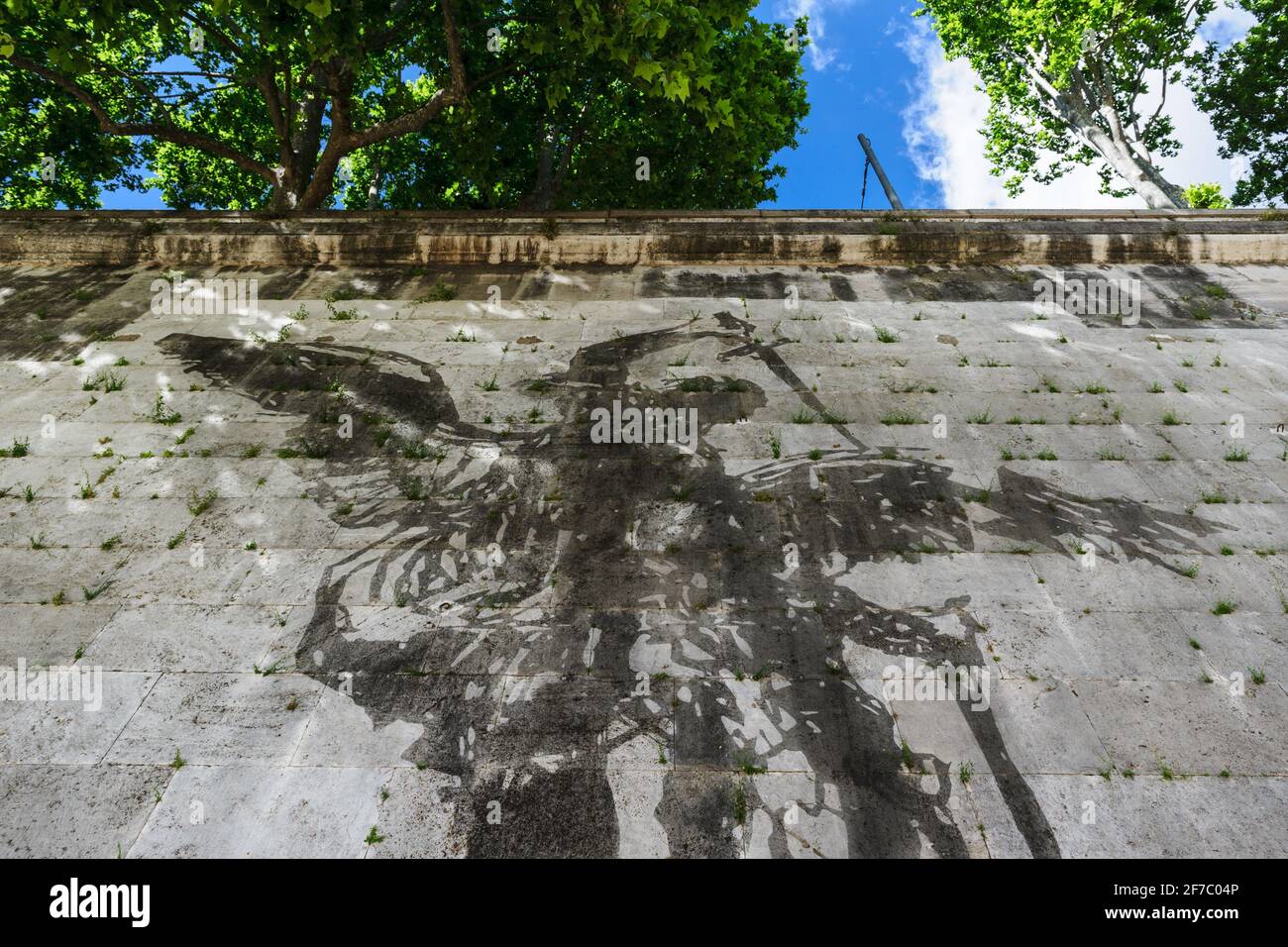 William Kentridge, artista, Lungotevere, River, Tevere, Roma, Lazio, Italia, Europa Foto Stock