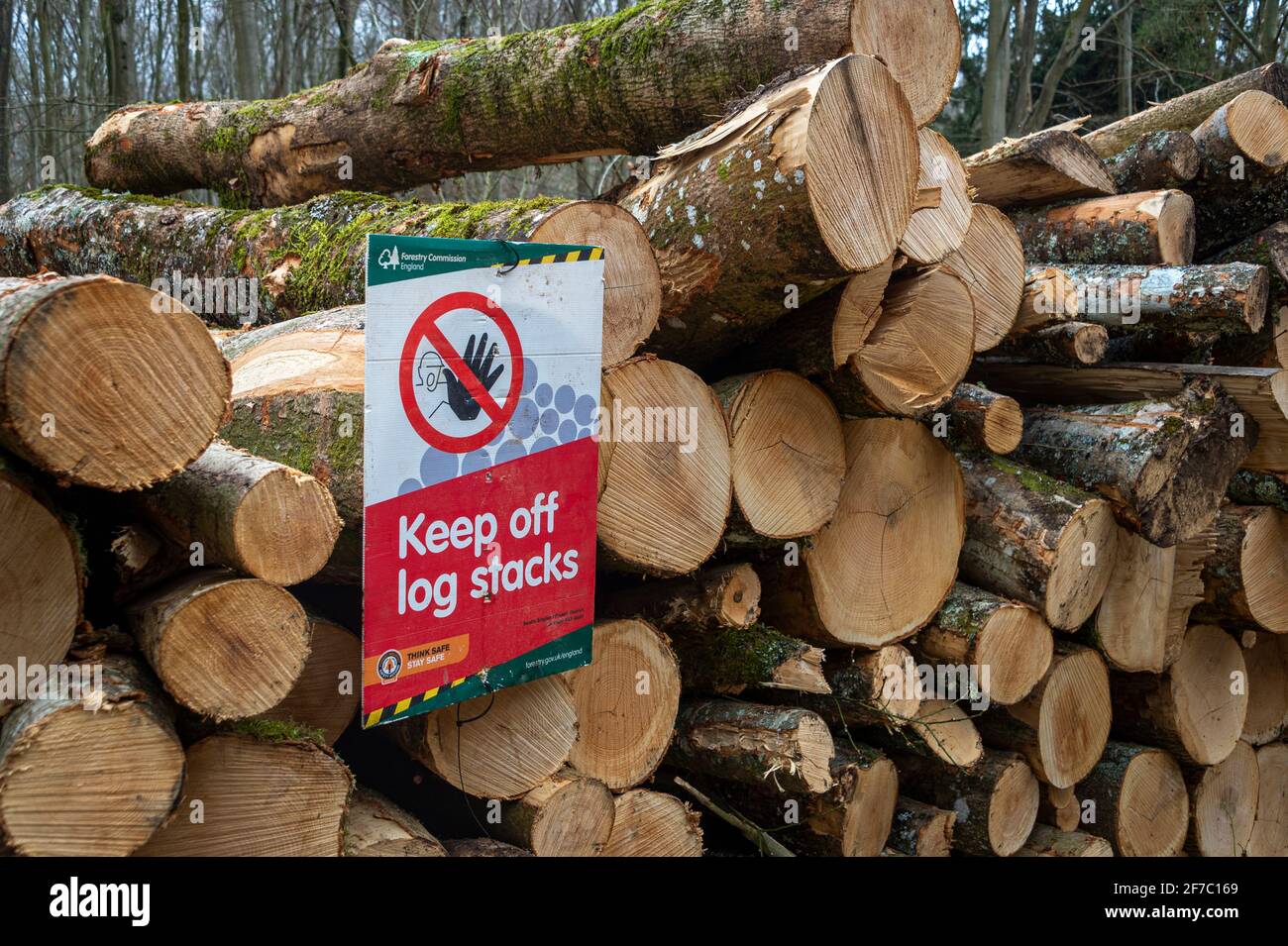 Il segno 'Keep Off Log Stacks' in una foresta dopo che gli alberi sono stati tagliati e impilati a lato di un percorso di registrazione. Foto Stock