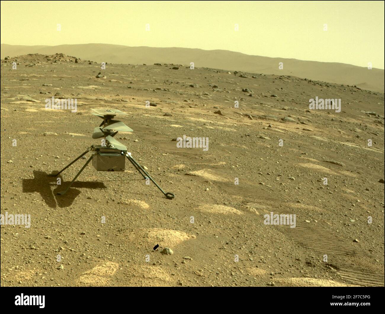Handout- l'elicottero Ingenuity della NASA può essere visto su Marte come visto dalla telecamera posteriore di pericolo della perseveranza rover il 4 aprile 2021, il 44° giorno marziano, o sol della missione. Handout Foto di JPL-Caltech/NASA via ABACAPRESS.COM Foto Stock