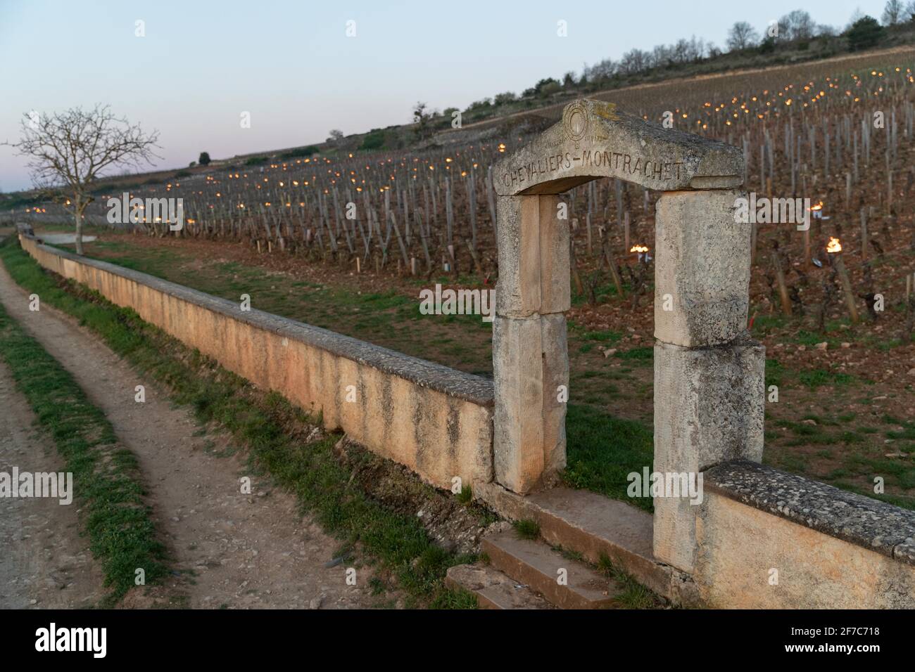 Domaine Jean Chartron, Chevaliers Montrachet, Clos des Chevaliers Monopole - Lunedi notte stava per essere freddo e i viticoltori della Côte d'Or non dormiva molto. Intorno alle 4 del mattino, sono andati nei vigneti per accendere i riscaldatori per evitare che le prime gemme si congelassero. Tali operazioni sono state riportate in Puligny-Montrachet, Meursault e Chassagne-Montrachet. Puligny-Montrachet, Francia, il 6 aprile 2021. Foto di Baptiste Paquot/ABACAPRESS.COM Foto Stock