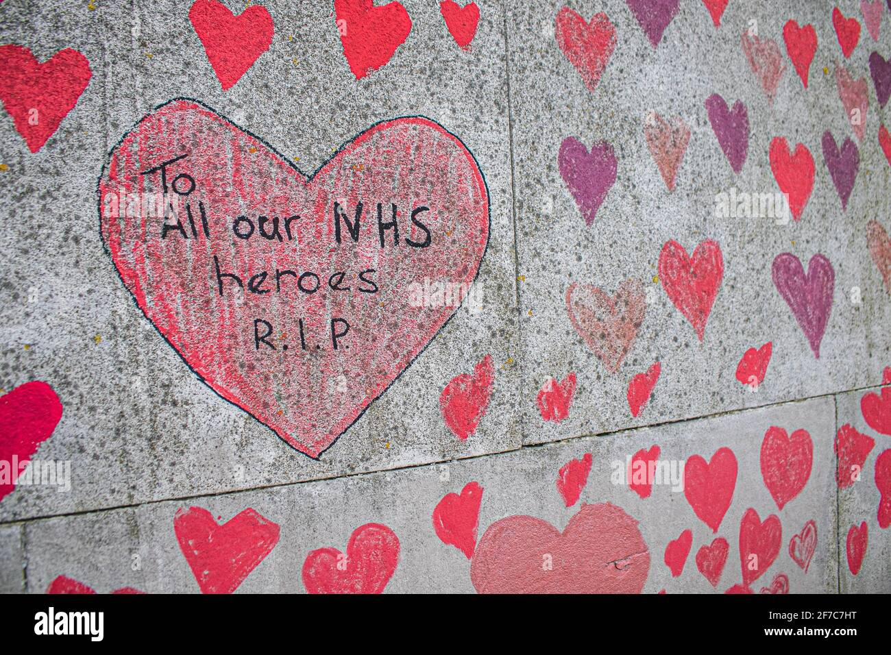 WESTMINSTER LONDON, REGNO UNITO 6 APRILE 2021. Le persone scrivono messaggi personali sulla mano dipinta cuori . Il National Covid Memorial Wall sta per essere completato, Ed è stato creato da un gruppo chiamato Covid-19 famiglie pereaved per la giustizia con la pittura di singoli cuori rossi che rappresentano ciascuna delle vite perse al virus durante la pandemia del coronavirus che si pensa abbia costato 145,000 morti nel Regno Unito. Il lavoro è stato iniziato da volontari NHS una settimana fa e si estende per mezzo miglio lungo il Thames Embankment. Credit amer Ghazzal/Alamy Live News. Foto Stock