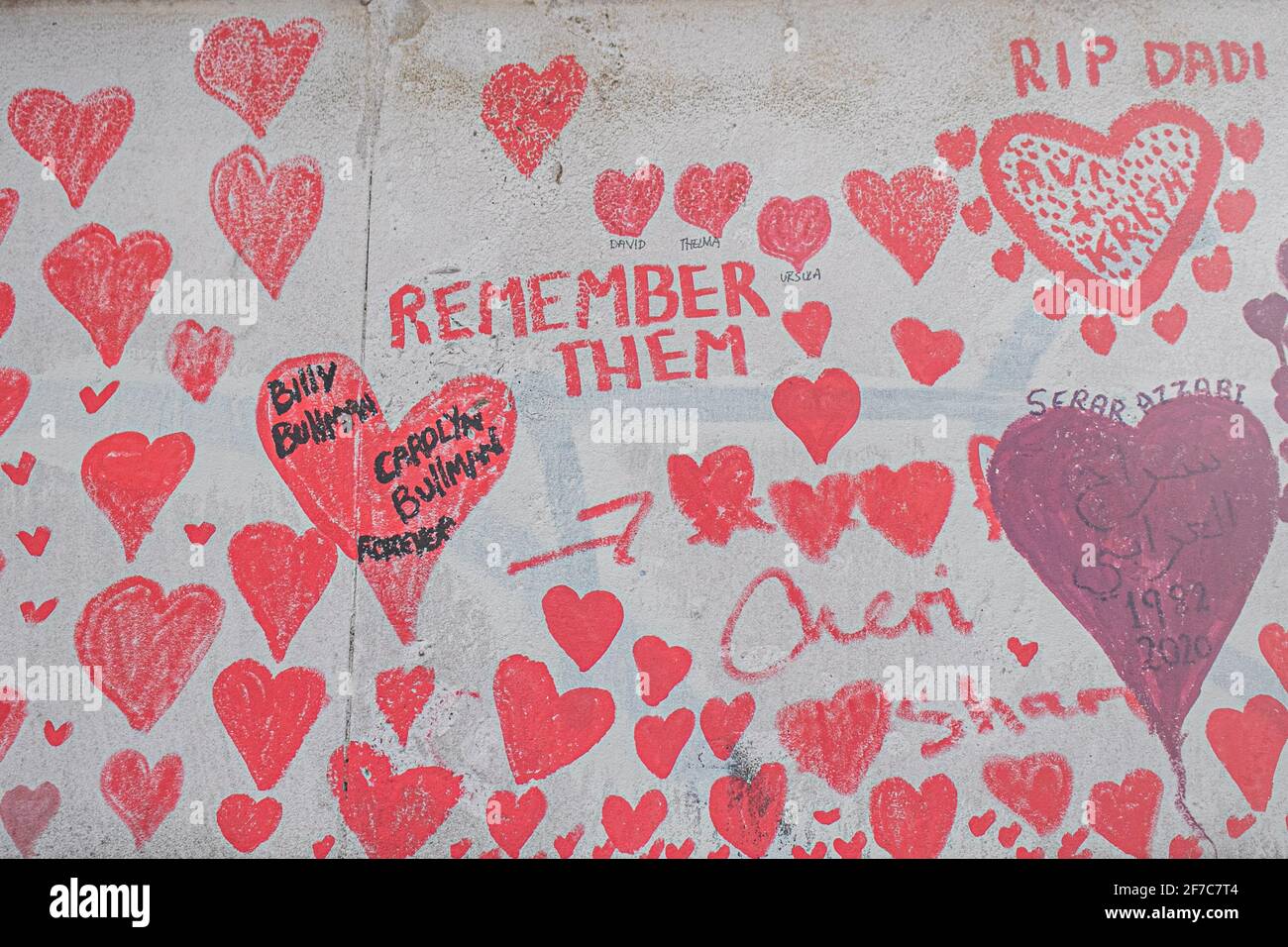 WESTMINSTER LONDON, REGNO UNITO 6 APRILE 2021. Le persone scrivono messaggi personali sulla mano dipinta cuori . Il National Covid Memorial Wall sta per essere completato, Ed è stato creato da un gruppo chiamato Covid-19 famiglie pereaved per la giustizia con la pittura di singoli cuori rossi che rappresentano ciascuna delle vite perse al virus durante la pandemia del coronavirus che si pensa abbia costato 145,000 morti nel Regno Unito. Il lavoro è stato iniziato da volontari NHS una settimana fa e si estende per mezzo miglio lungo il Thames Embankment. Credit amer Ghazzal/Alamy Live News. Foto Stock