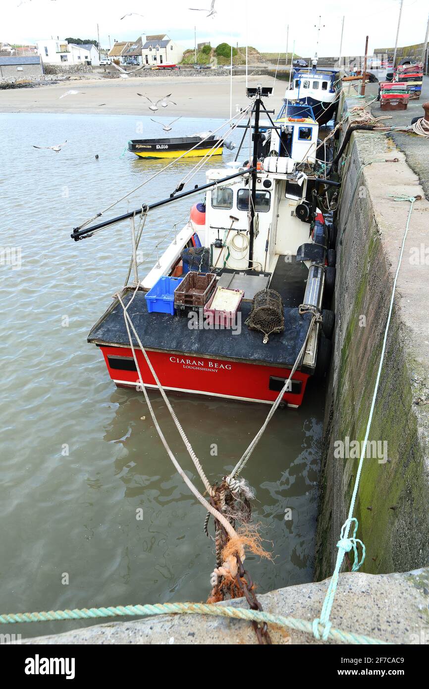 Pesca costiera dal porto di Lougshinny, Irlanda Foto Stock