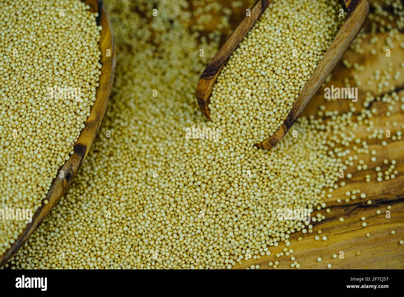 semi di amaranth su ulivo Foto Stock