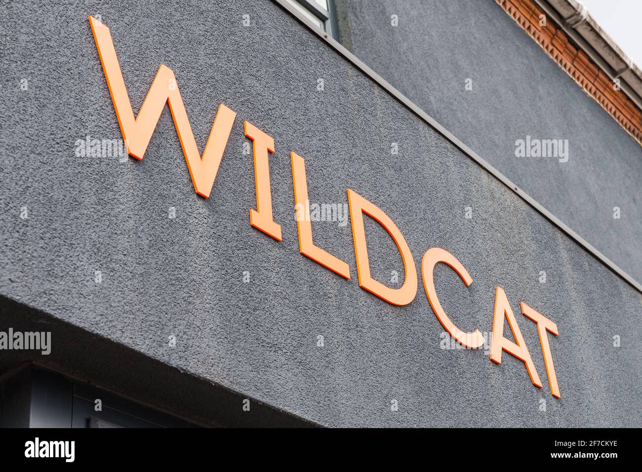 Wildcat Craft beer bar sulla Pershore Road, Stirchley, Birmingham, Regno Unito Foto Stock