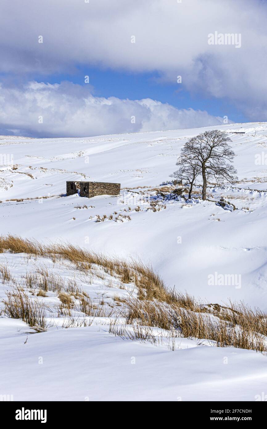 Inverno nei Pennines - UN paesaggio innevato vicino a Coalcleugh, Northumberland UK Foto Stock