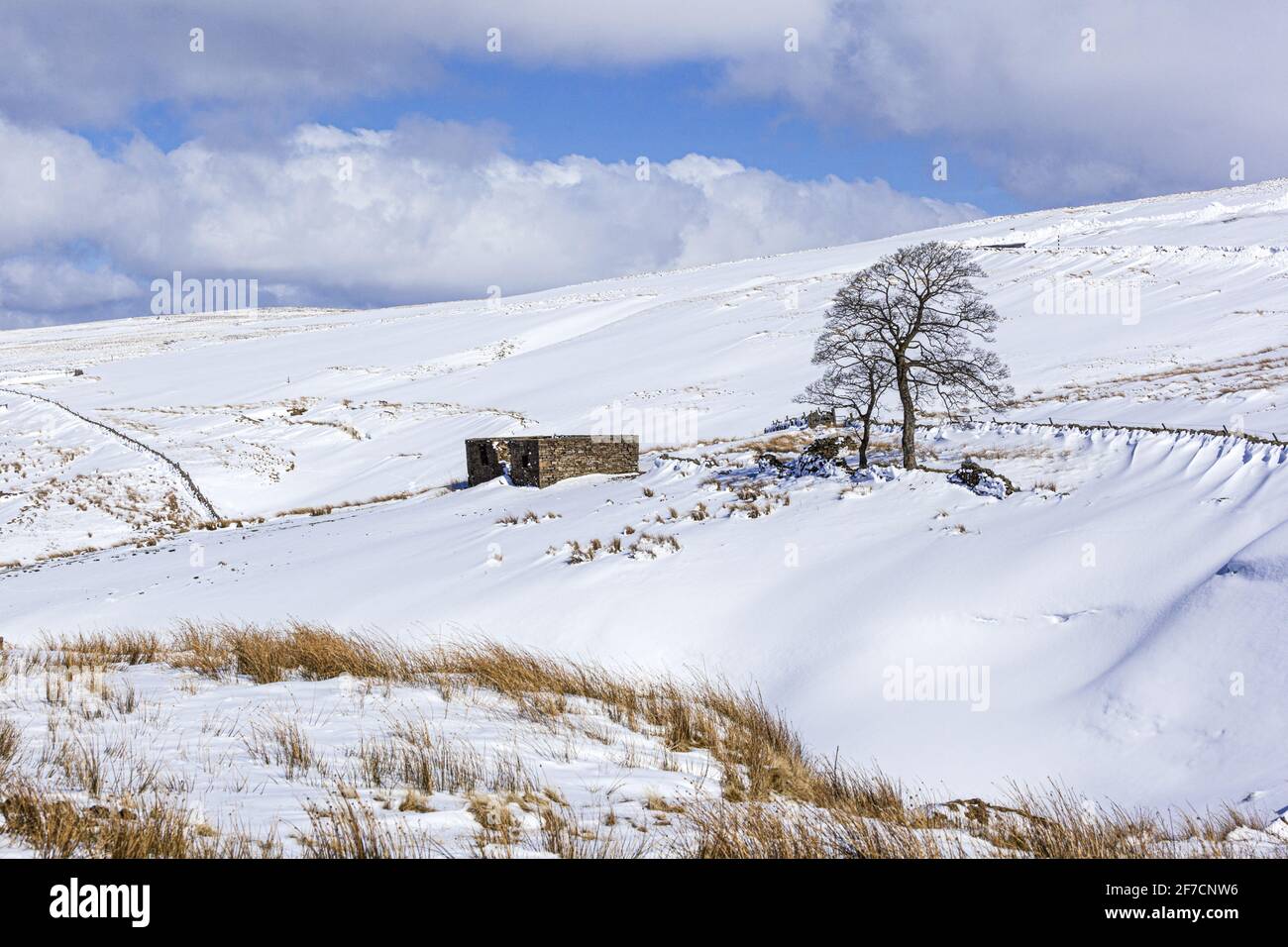 Inverno nei Pennines - UN paesaggio innevato vicino a Coalcleugh, Northumberland UK Foto Stock