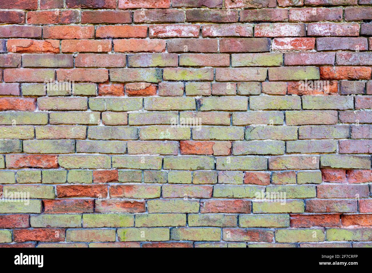 Multicolore Brick muro sfondo varietà di mattoni muro fatto Con vecchi mattoni rigenerati Foto ad alta risoluzione di alta qualità Foto Stock