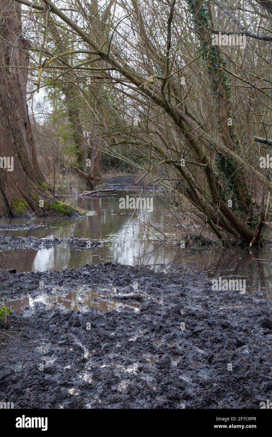 Le alluvioni invernali (2021) hanno reso il percorso attraverso la Riserva Naturale Paradiso locale allagato e impassabile. Newnham, Cambridge, Regno Unito Foto Stock