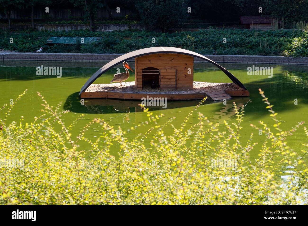 Piattaforma Galleggiante In Legno Immagini E Fotos Stock Alamy