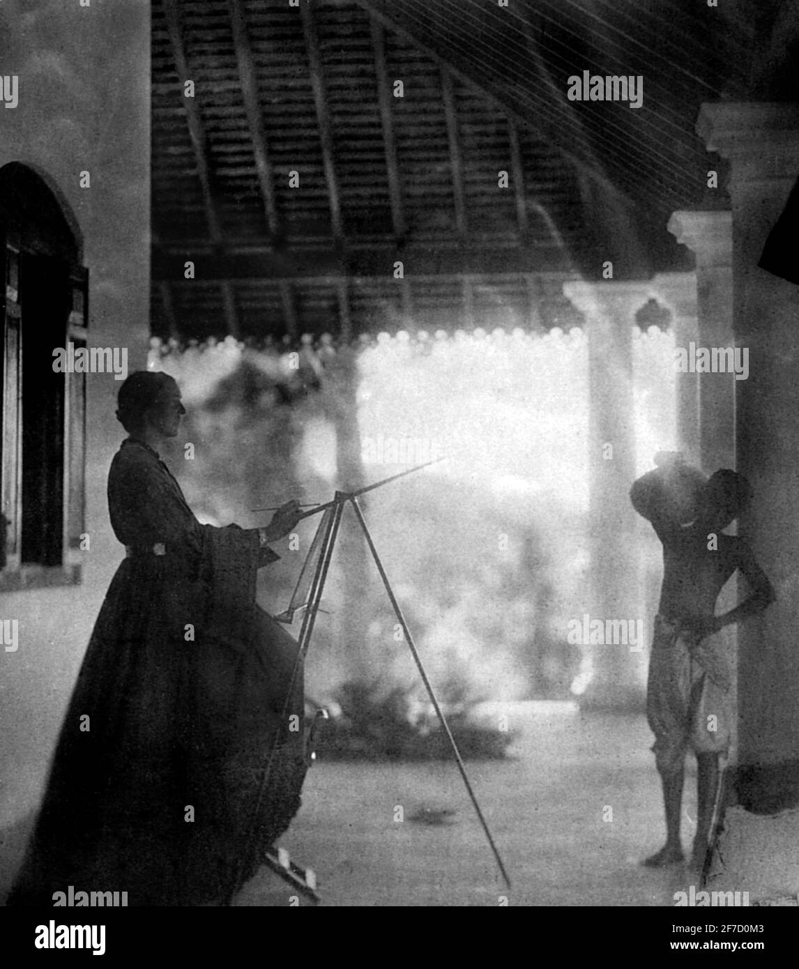 Marianne Nord. Ritratto della biologa vittoriana inglese e artista botanico, Marianne North (1830-1890) di Julia Margaret Cameron, Ceylon (Sri Lanka), 1877 Foto Stock