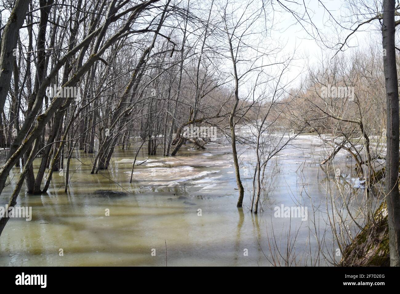 Parco ecologico Anse au Port durante un'alluvione Foto Stock