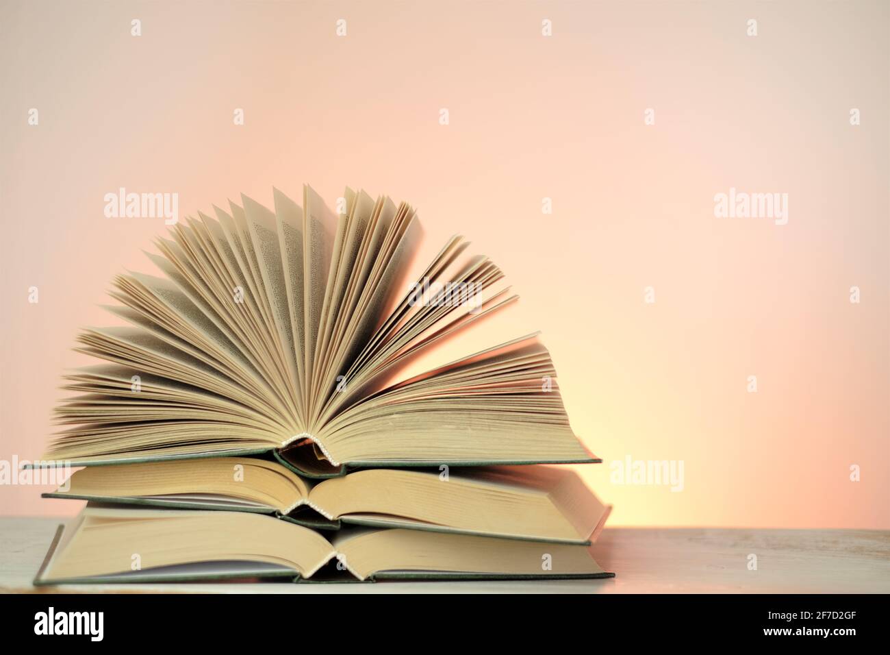 Lettura libri e letteratura.Open libri stack set su uno sfondo rosa chiaro. Studio e concetto di istruzione. Primo piano del libro pages.Learning e conoscenza Foto Stock