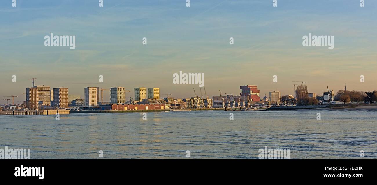 Argini del fiume Schelda ad Anversa, con la cattedrale, l'antico edificio del porto e i grattacieli in luce frizzante del tramonto, vista dall'altra parte del fiume Schelda Foto Stock