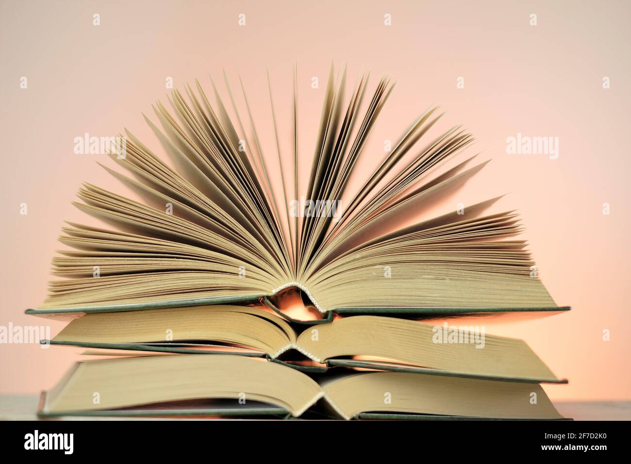Lettura libri e letteratura.Open libri stack su uno sfondo rosa chiaro. Studio e concetto di istruzione. Primo piano del libro pages.Learning e conoscenza Foto Stock