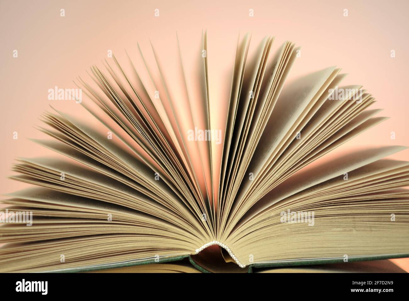 Libri di lettura e libri di letteratura.Open su uno sfondo rosa. Studio e concetto di istruzione. Primo piano del libro pages.Learning e conoscenza Foto Stock